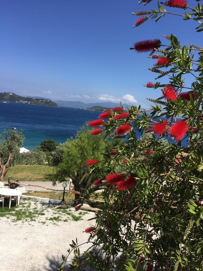 Vassilias Beach Vasilias (Skiathos) Exterior foto
